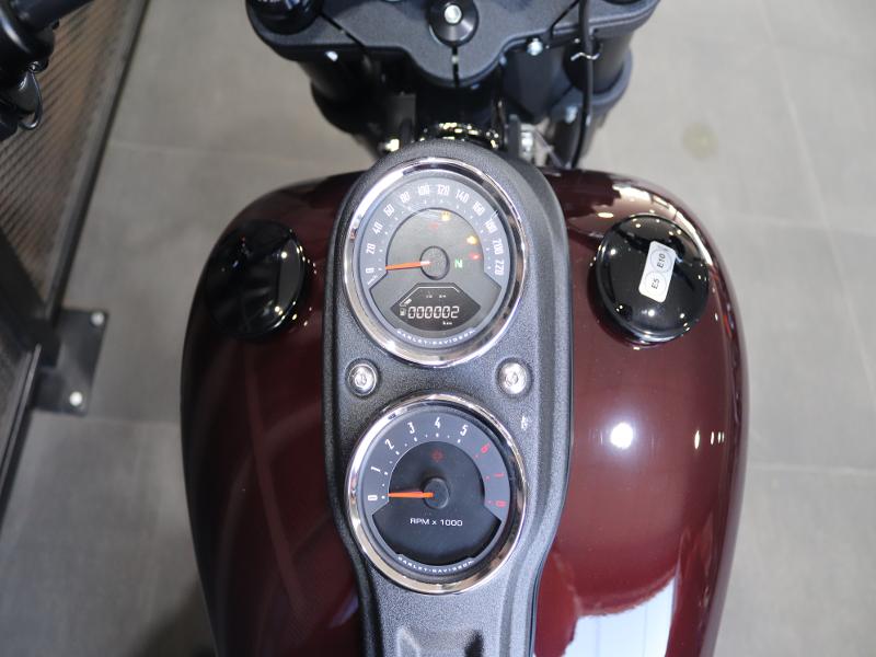 Harley Davidson Softail Low Rider S 114